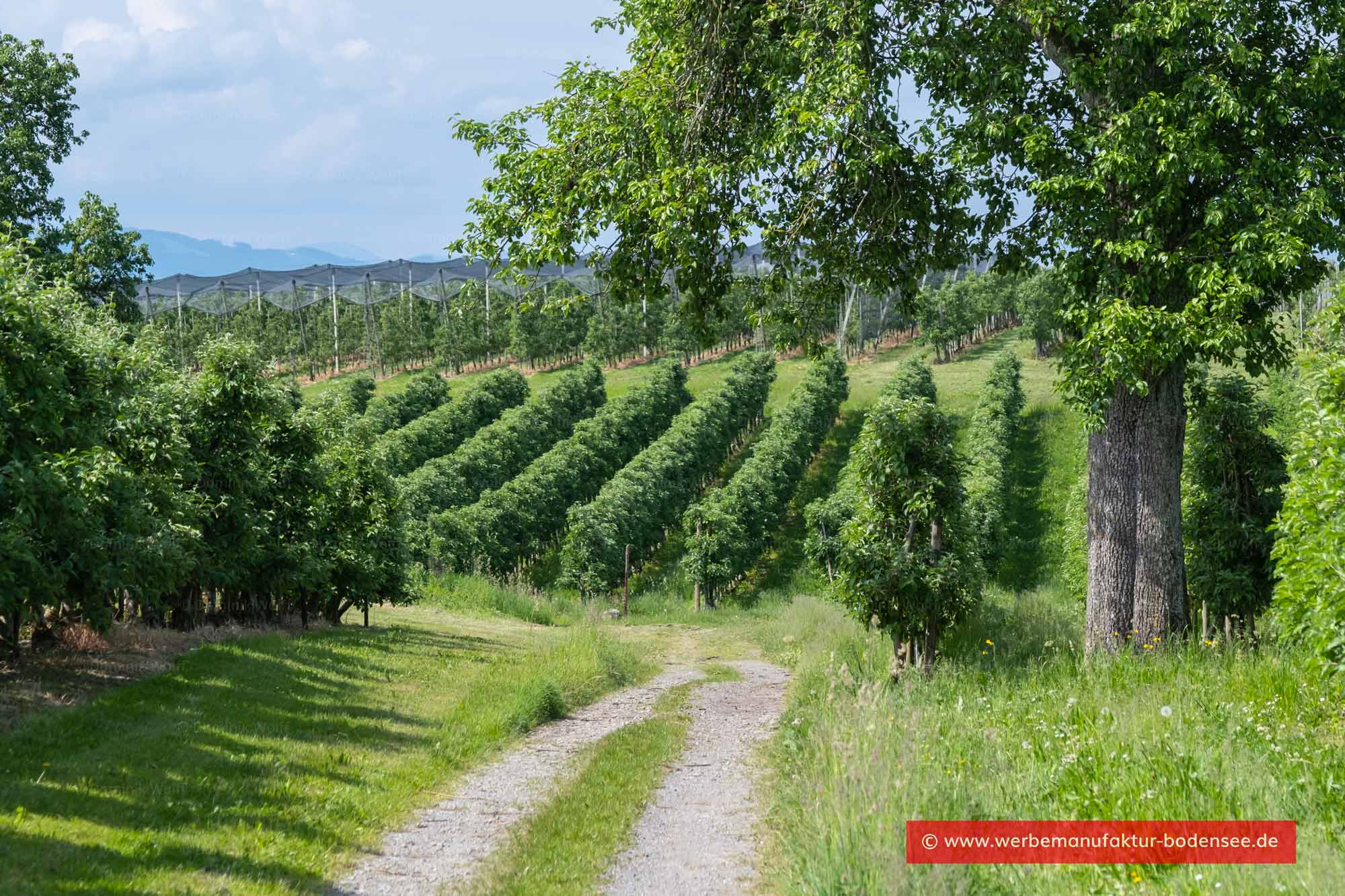 Grenzweg bei Nonnenhorn am Bodensee