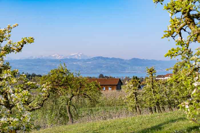 Bodolz am Bayerischen Bodensee