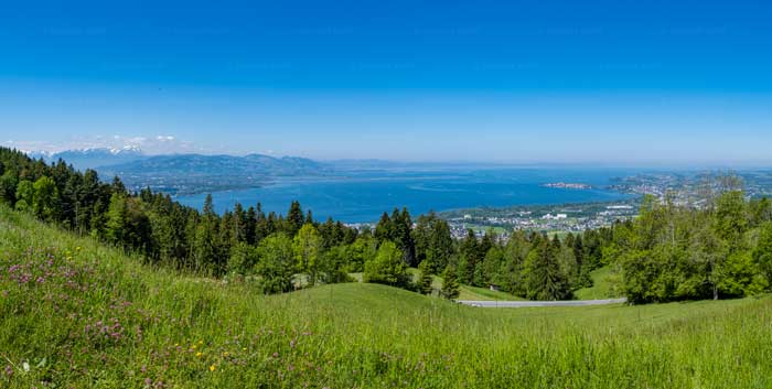 Panorama Bayerischer Bodensee