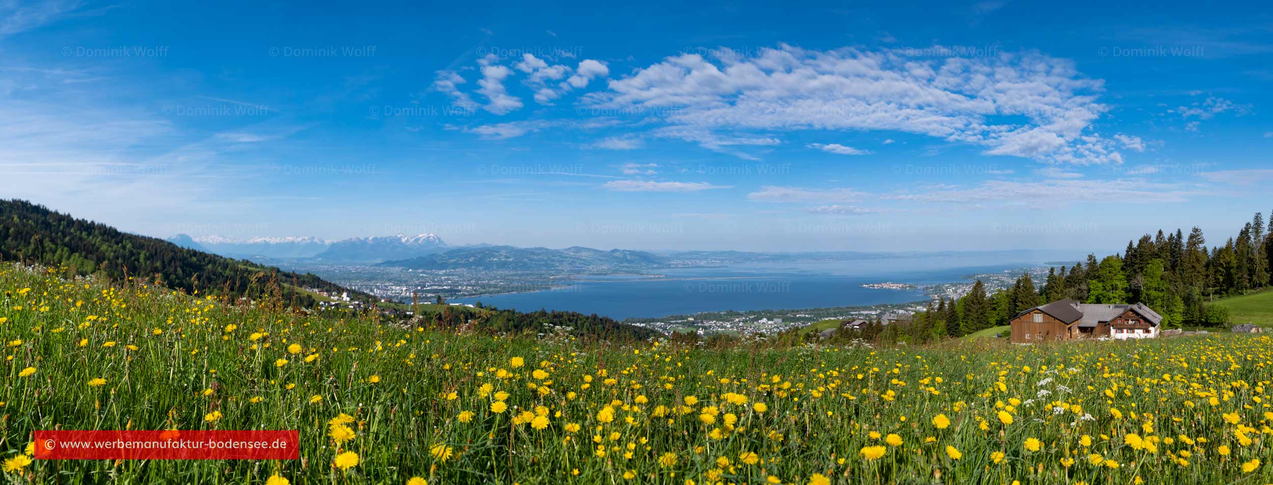 Bild + Foto - Panorama Bayerischer Bodensee