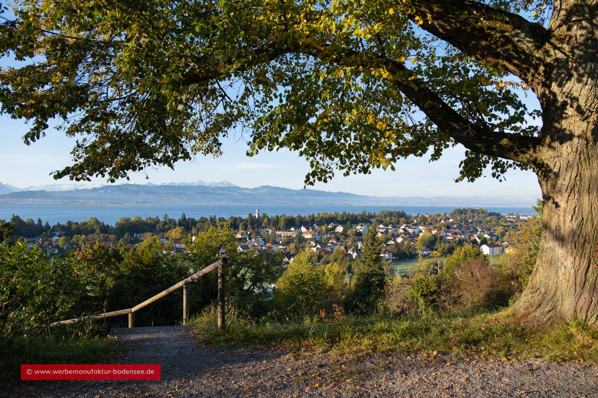 Bild + Foto - Blick vom Lindauer Hoyerberg