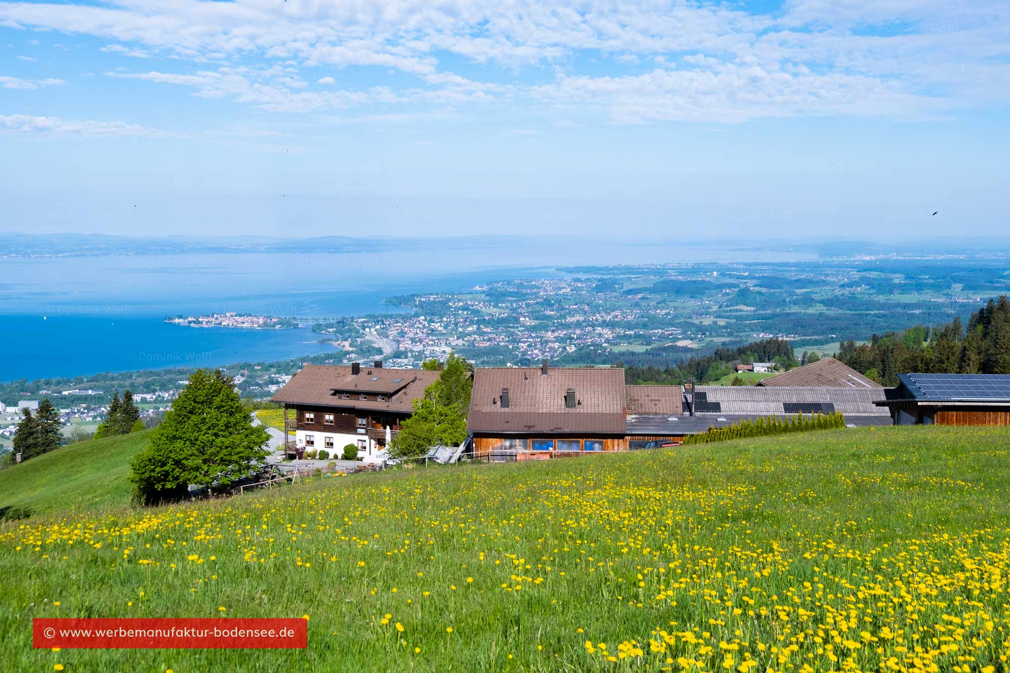 Bild + Foto - Blick vom Pfänderrücken auf den Bodensee