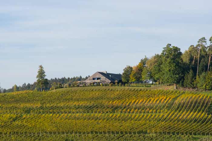 Weinbar am Bayerischen Bodensee
