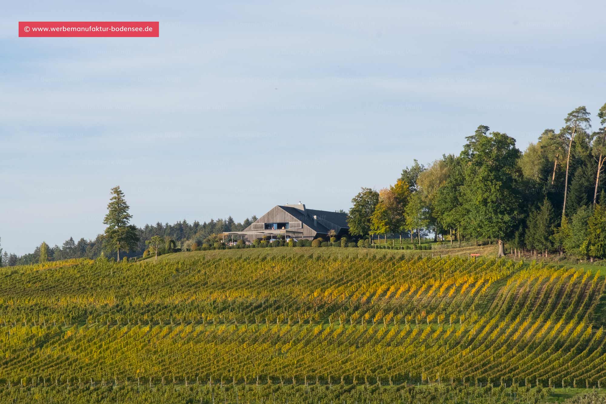 Bild + Foto - Pinot Weinbar in Wasserburg am Bodensee