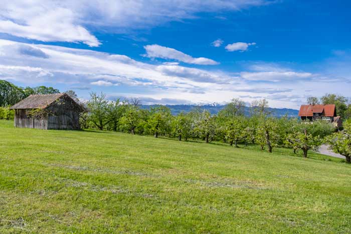 Reutenen am Bayerischen Bodensee