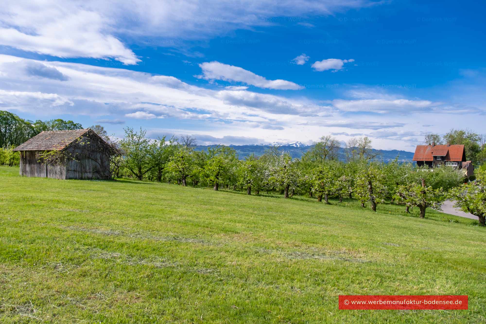 Reutenen am Bayerischen Bodensee