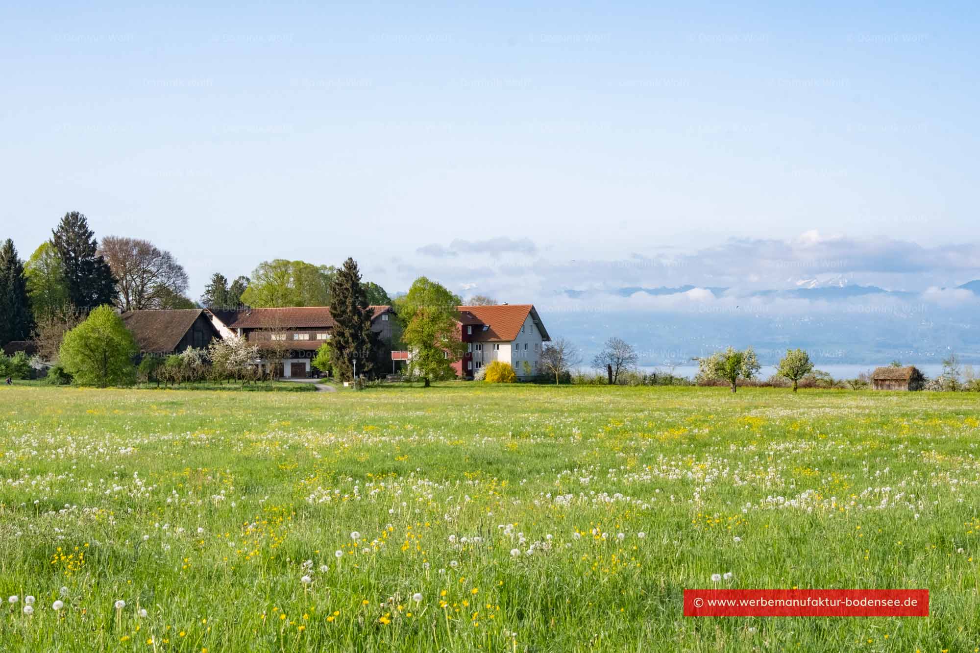 Bild + Foto - Reutenen in Wasserburg am Bodensee