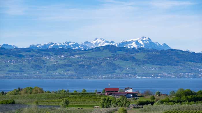 Blick über die Obstfelder von Nonnenhorn