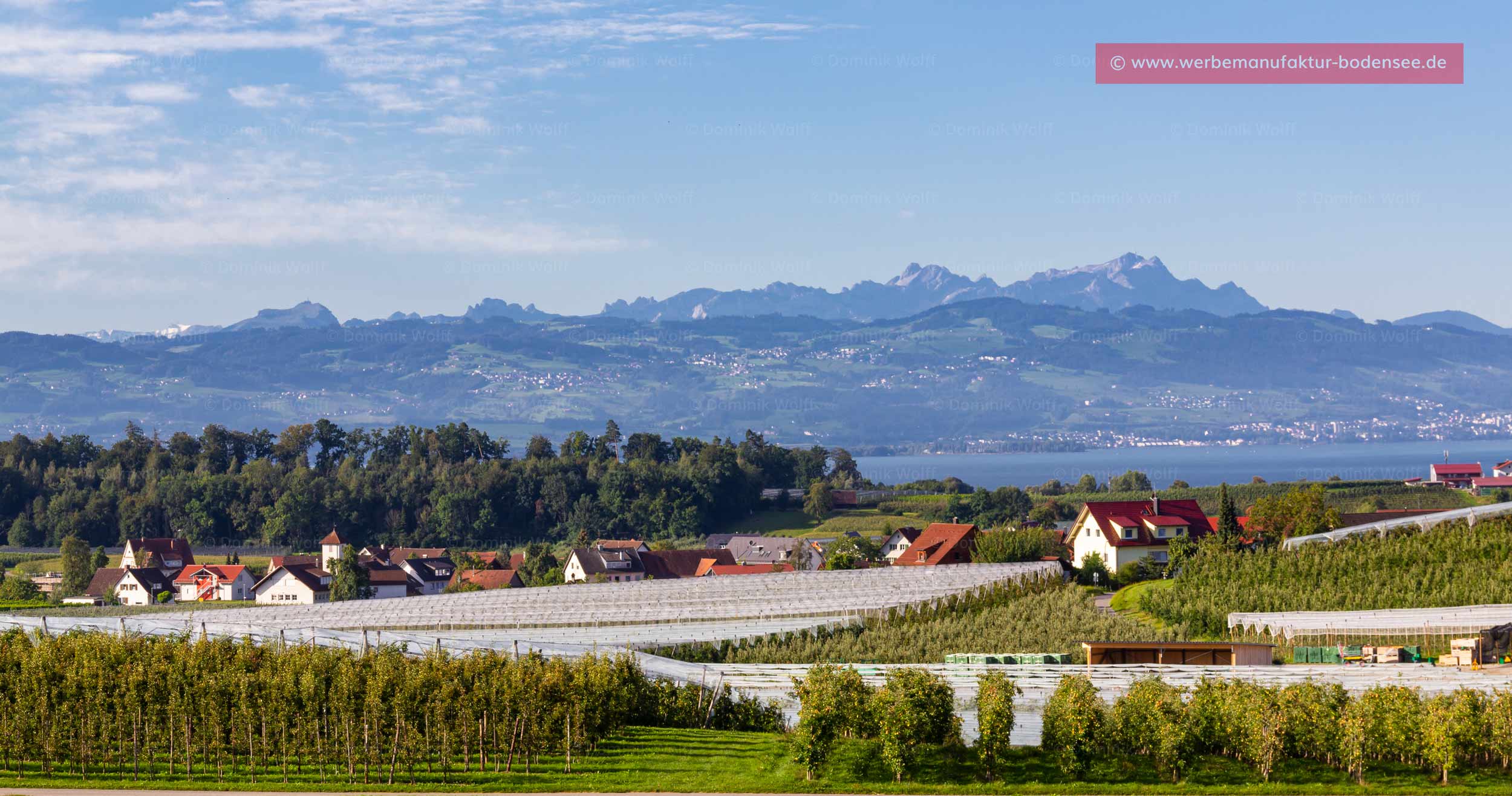 Bild + Foto - Selmnau und Hattnau mit Schweizer Alpen