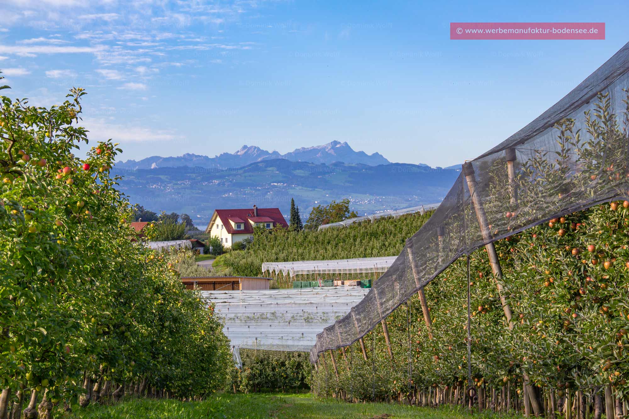 Bild + Foto - Wasserburg am Bodensee mit Alpengipfel Säntis