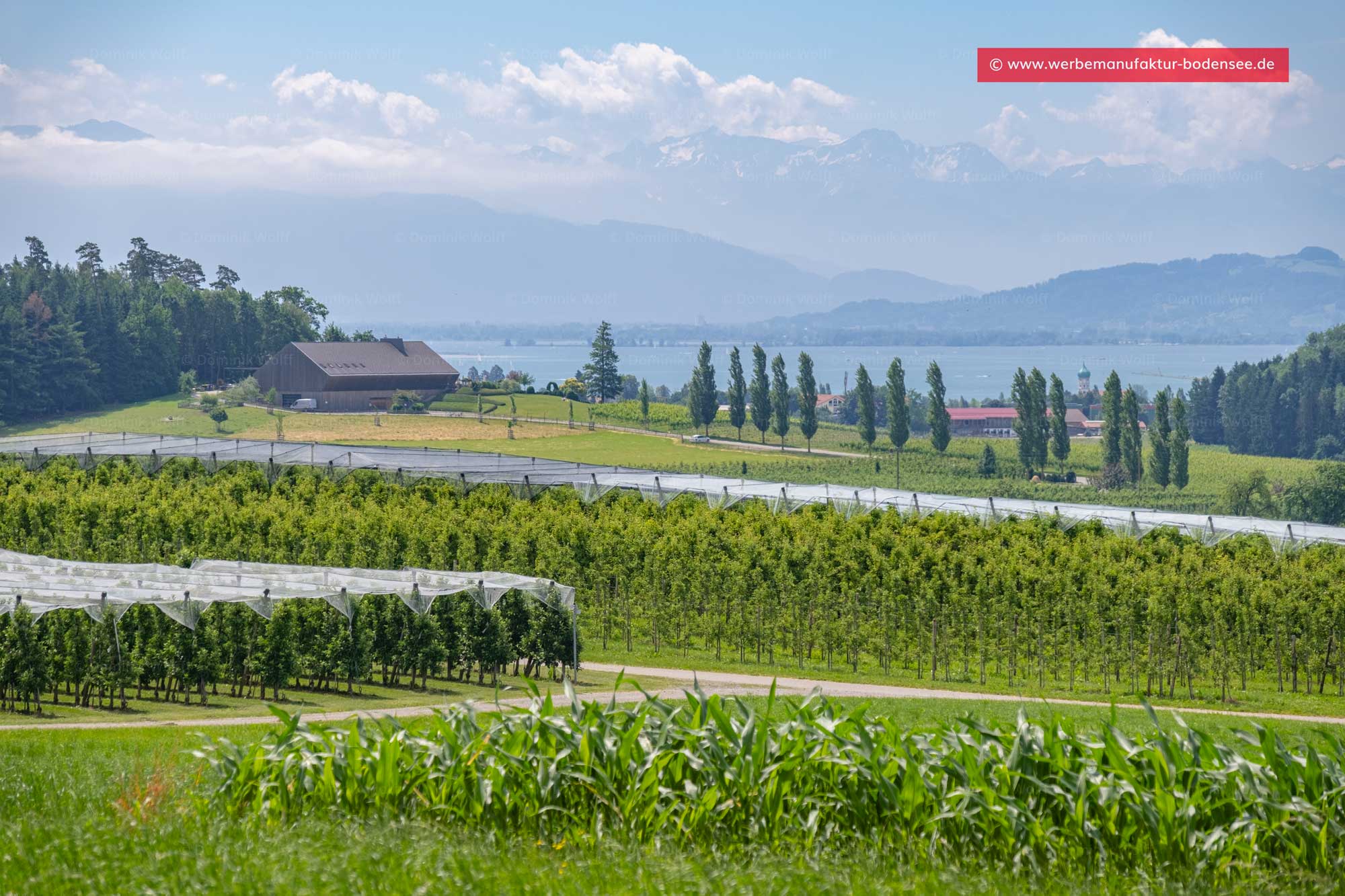 Toskana am Bayerischen Bodensee