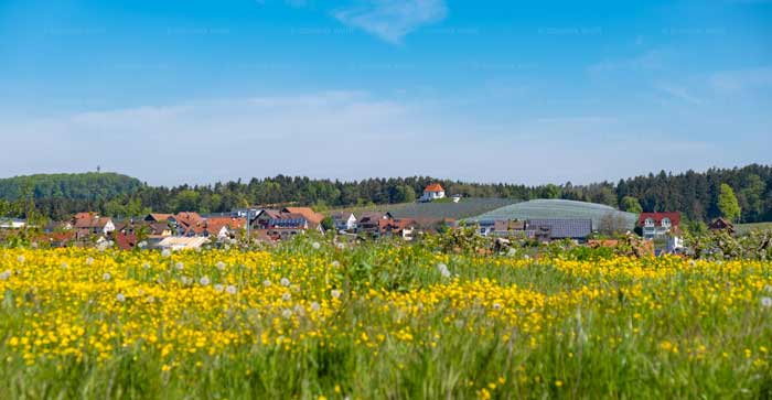 Bodenseedörfer Selmnau + Hattnau