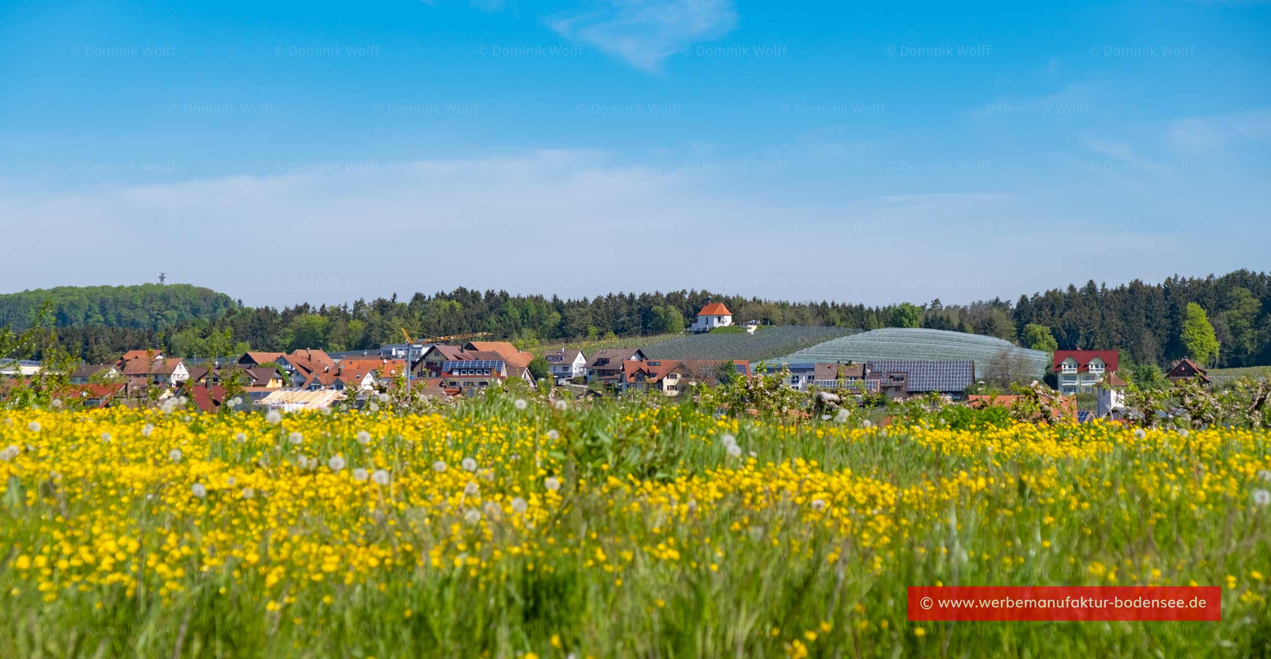 Bodenseedörfer Selmnau + Hattnau