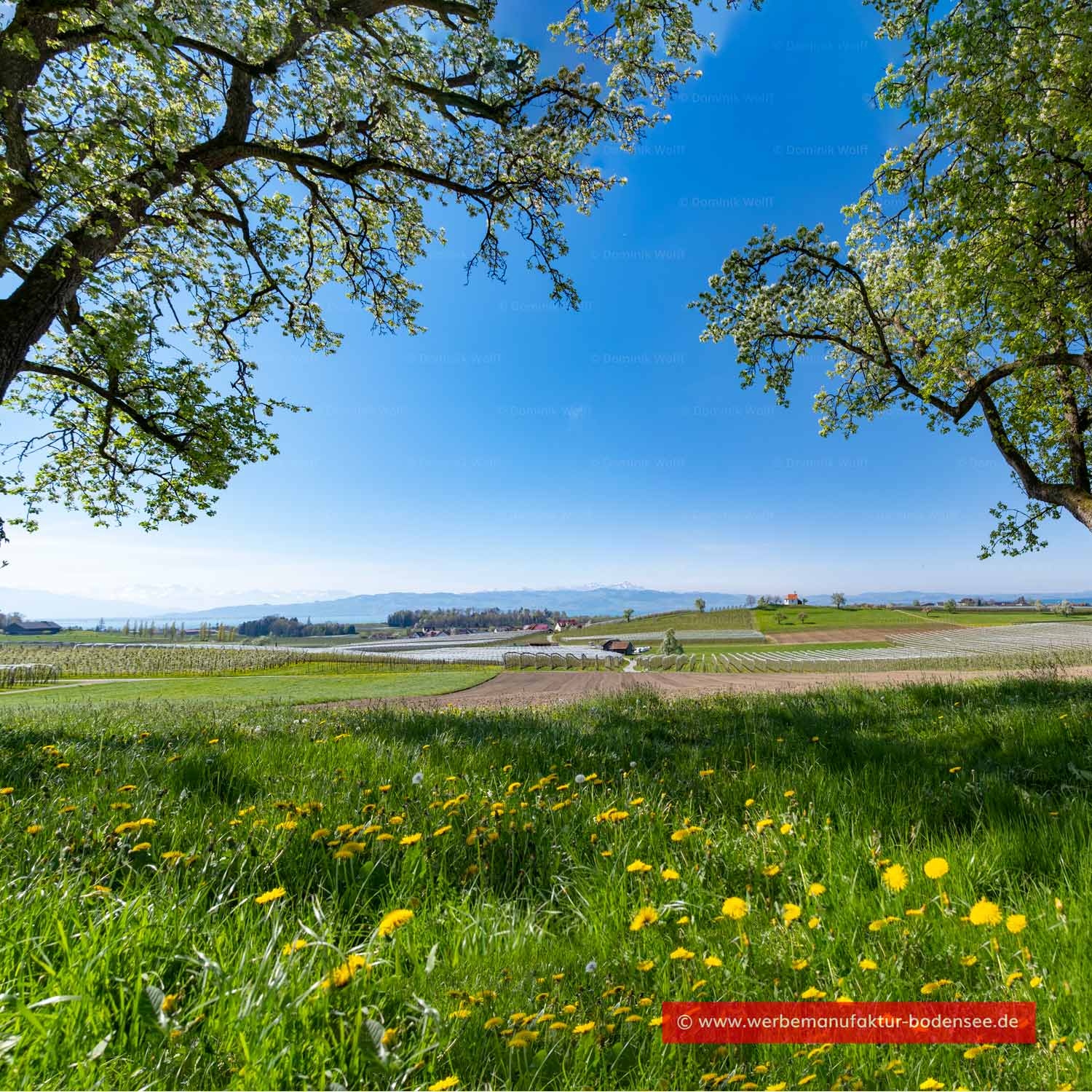 Landschaft Bayerischer Bodensee