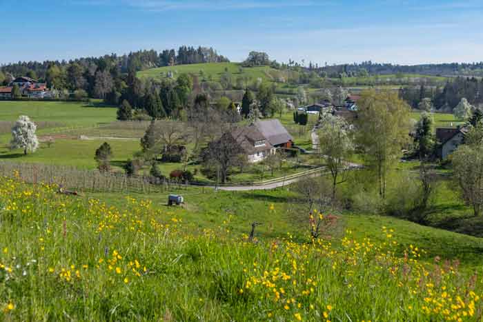 Moränenlandschaft Bayerischer Bodensee