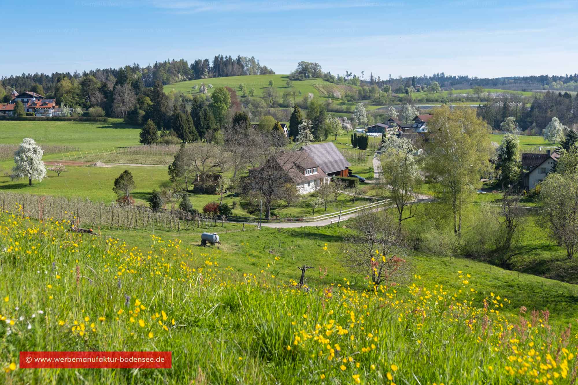 Moränenlandschaft Bayerischer Bodensee