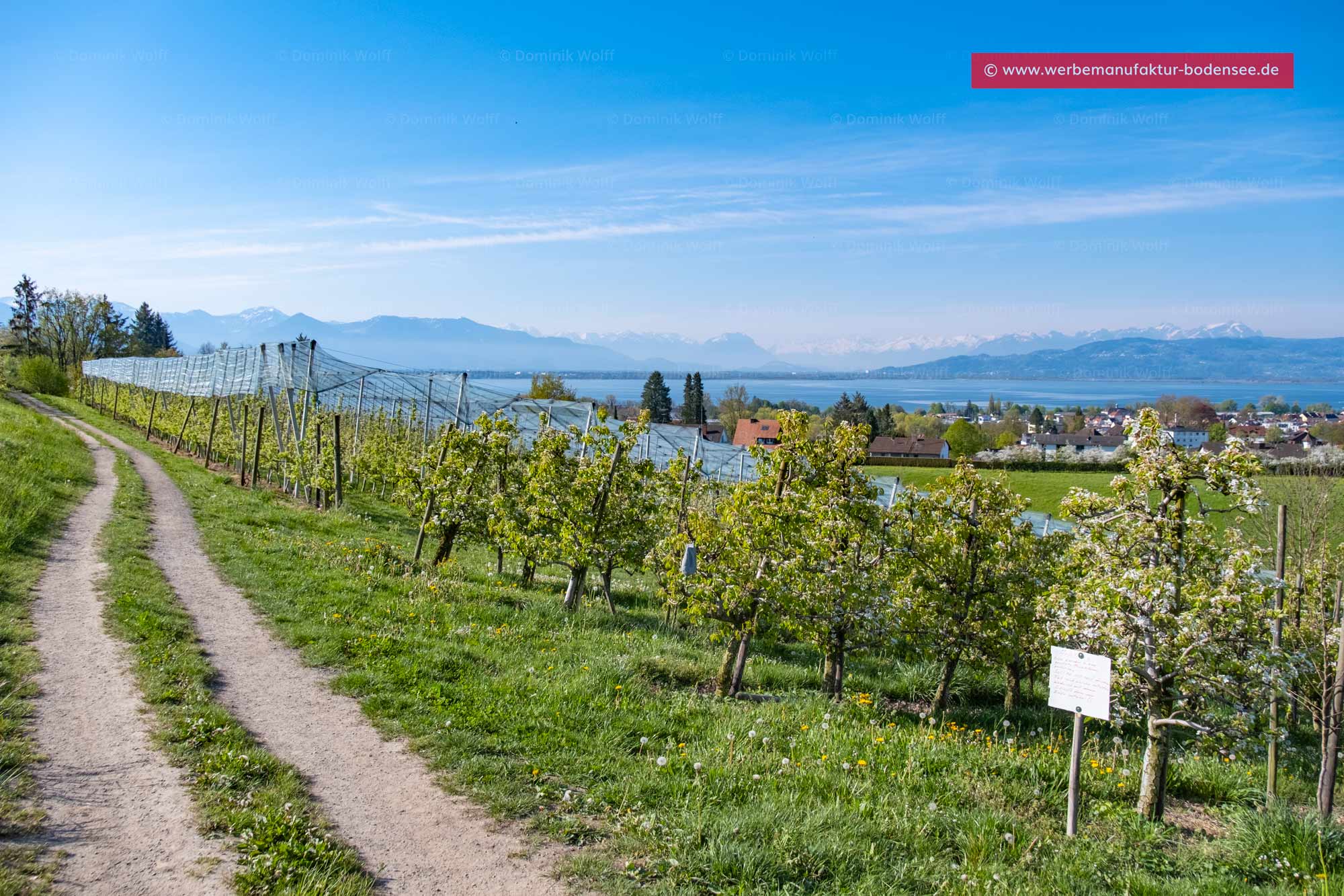 Bild + Foto - Lindau Streitelsfingen am Bodensee