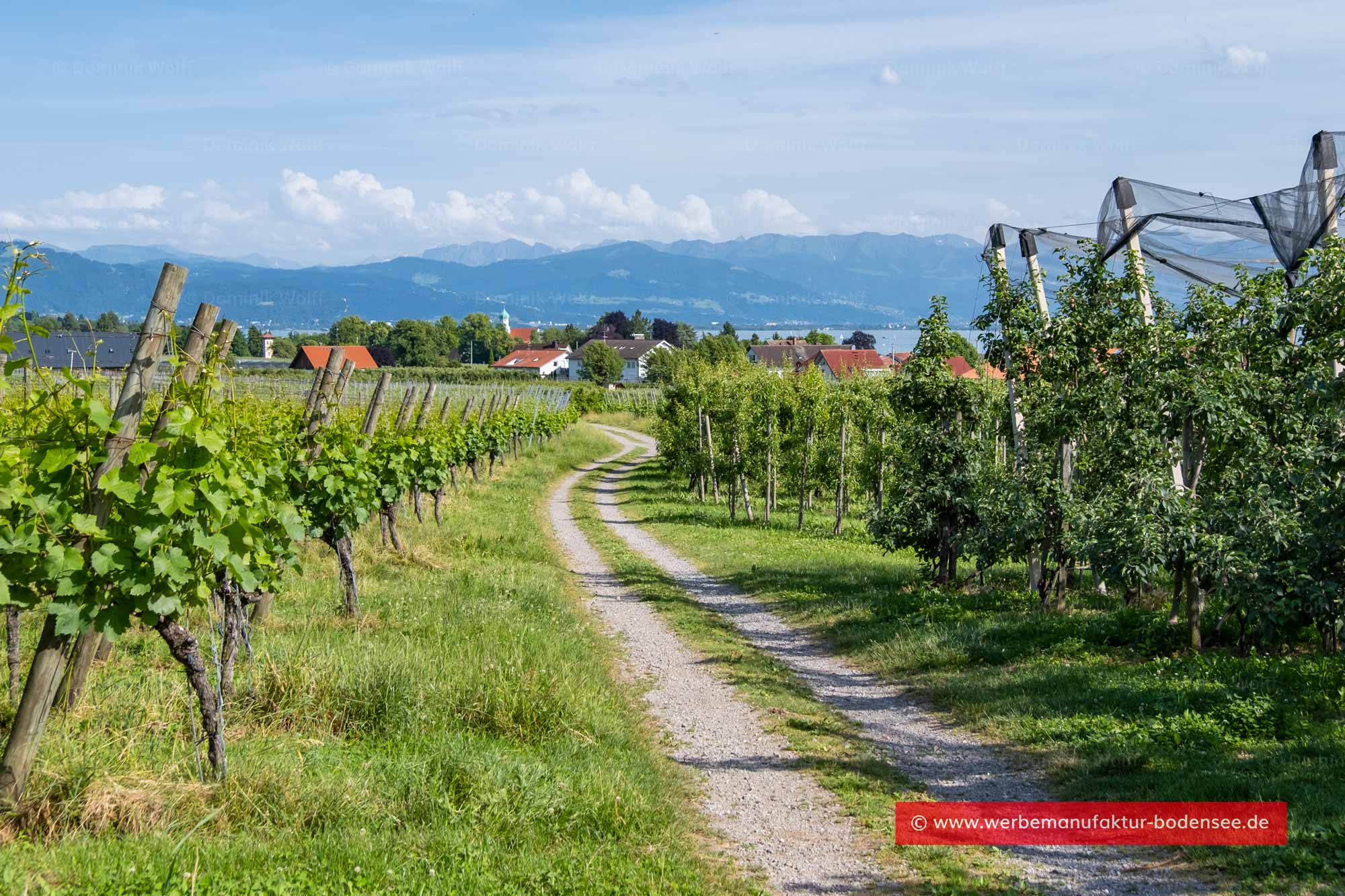 Wanderweg am Bayerischen Bodensee