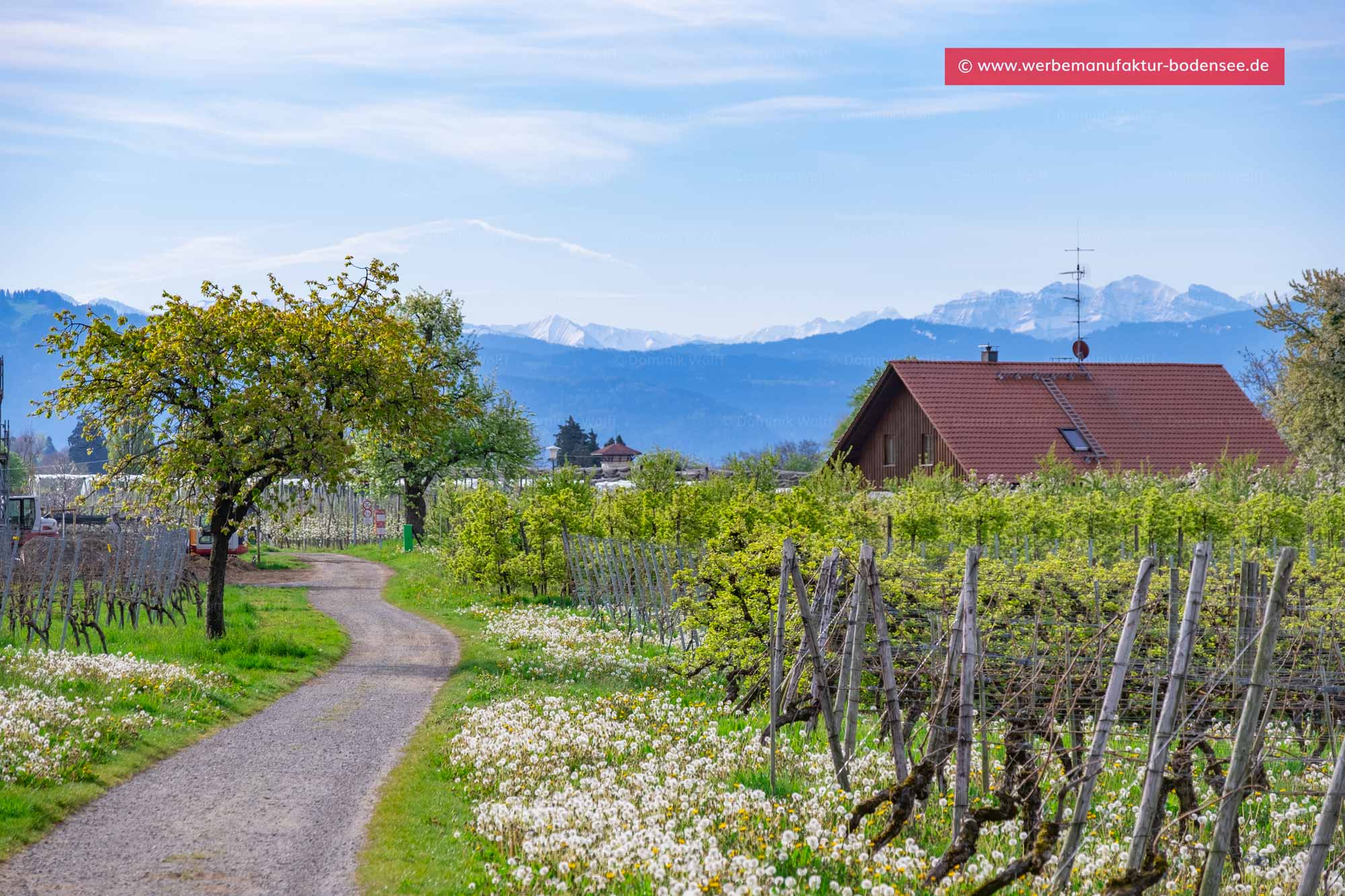 Bild + Foto - Wanderweg in Nonnenhorn am Bodensee