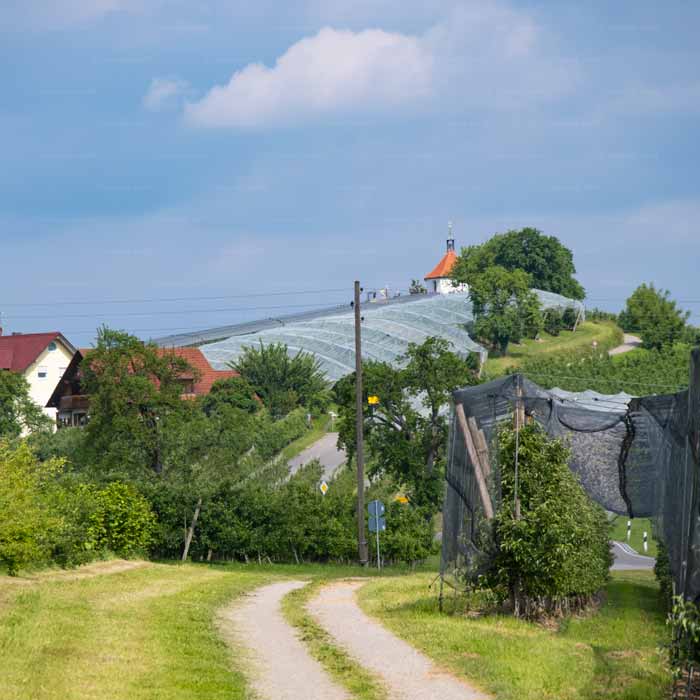 Wanderweg Selmnau am Bodensee