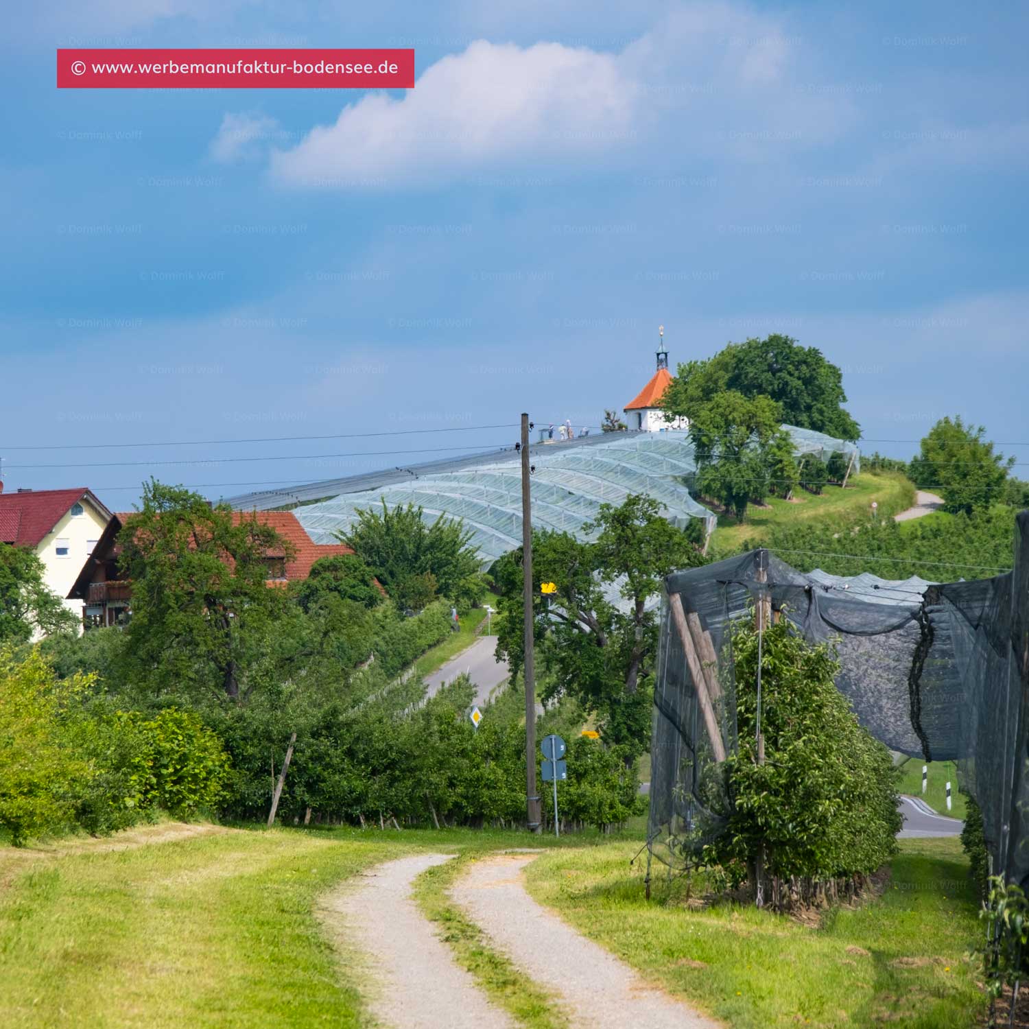 Bild + Foto - Wanderweg in Selmnau (Wasserburg am Bayerischen Bodensee)