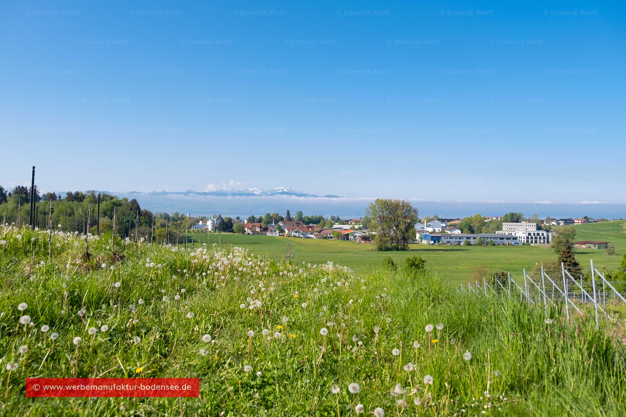 Bild + Foto - Gewerbegebiet Hege am Bodensee