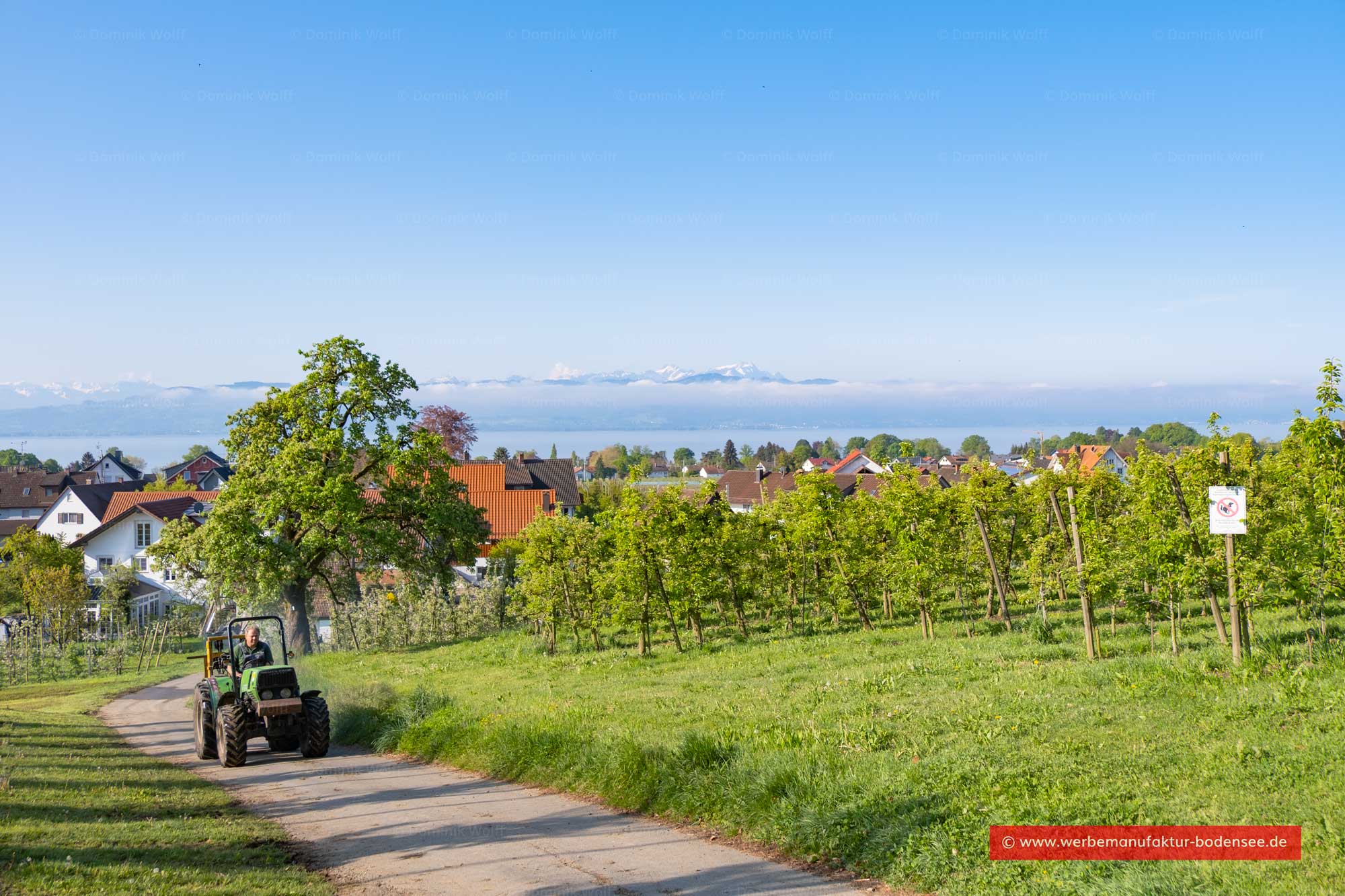 Bild + Foto - Bodenseedorf Hege (Gemeinde Wasserburg)