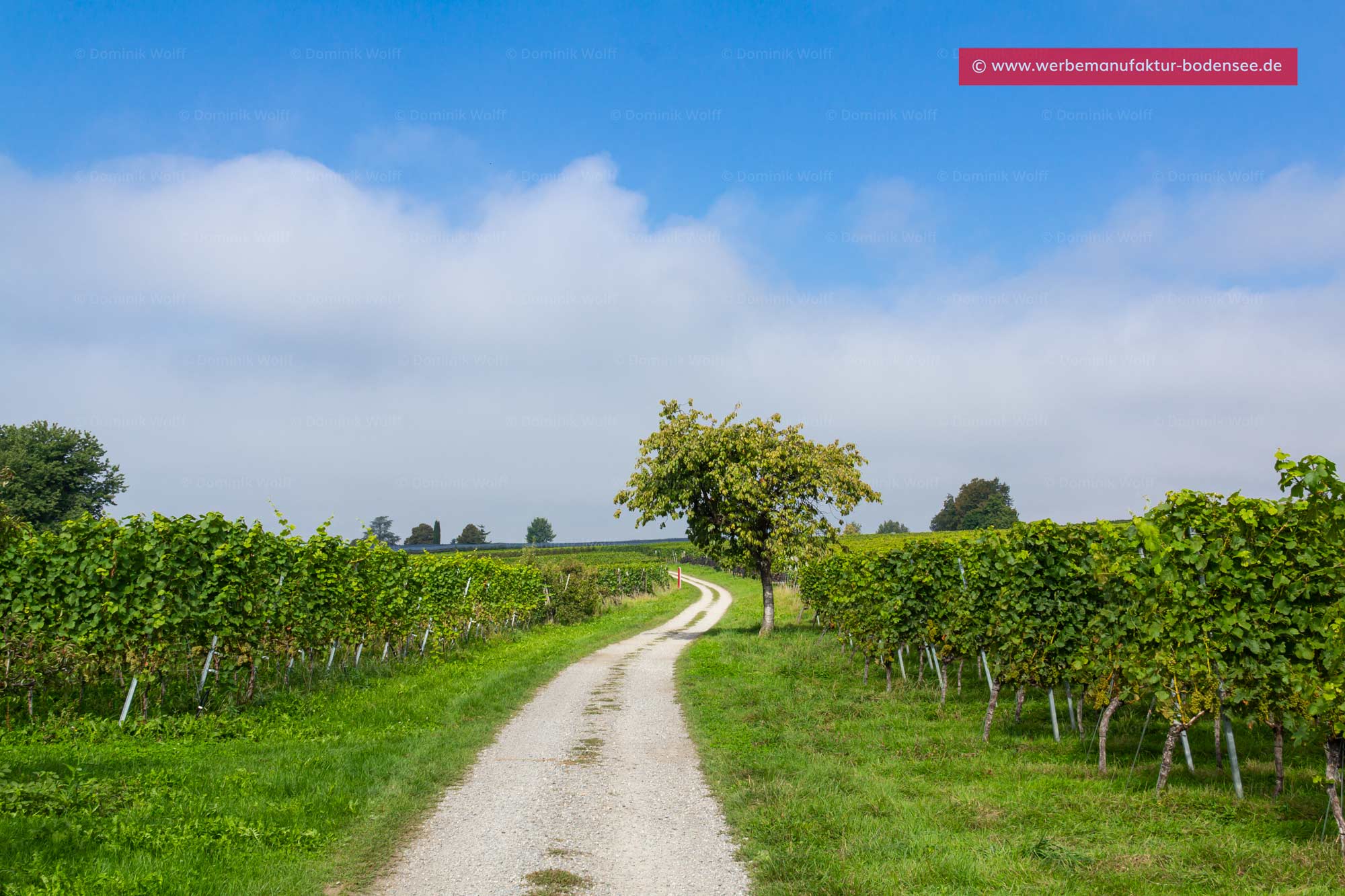 Wanderweg in Nonnenhorn am Bodensee