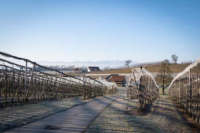 Winterschlaf am Bayerischen Bodensee