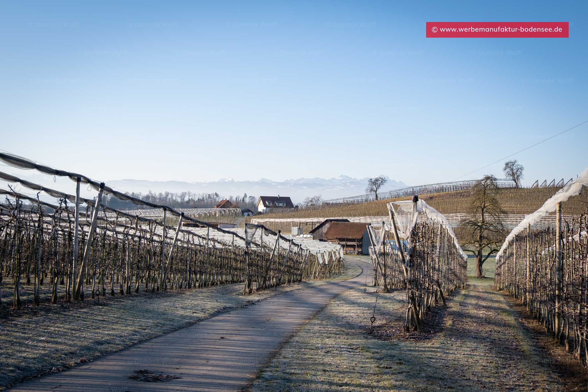 Winterschlaf am Bayerischen Bodensee