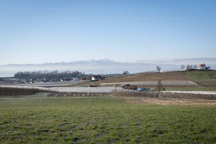Spätherbst am Bayerischen Bodensee