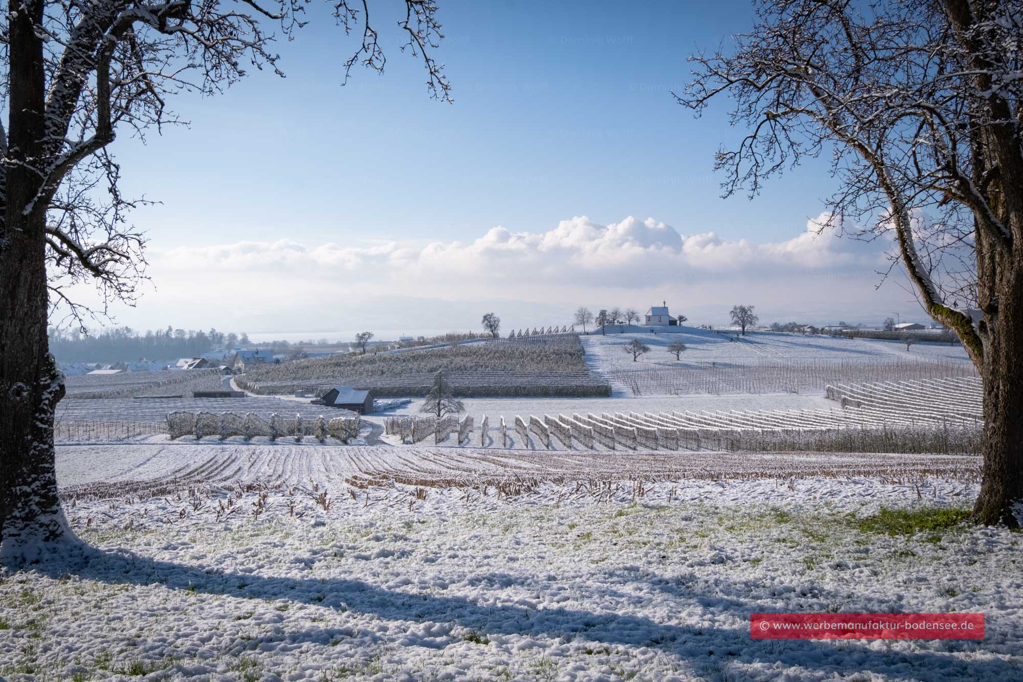 Bild + Foto - Winter in Selmnau am Bodensee